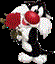 soheil